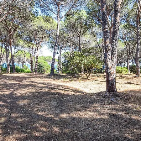 1 Bedroom Beach Front Home In Budoni * Budoni