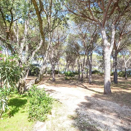 Casa vacanze 1 Bedroom Cozy In Budoni